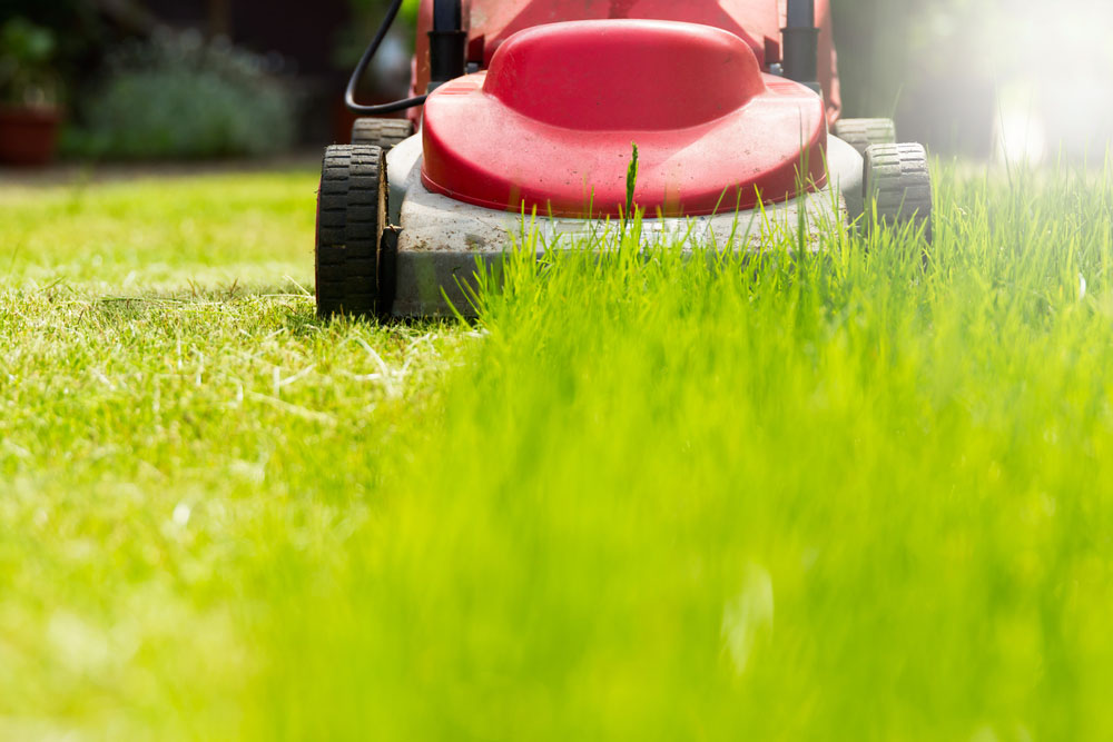 business and office cleaning services | mowing grass