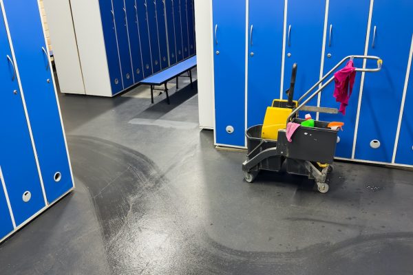 view of a modern clean empty changing room with two benches and with lockers on the walls. High quality photo