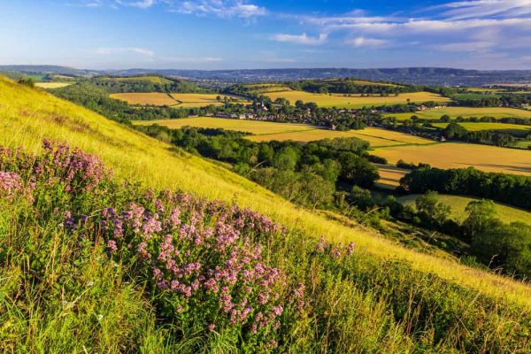 shutterstock 1788312107 1